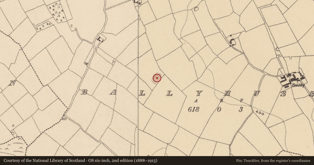 Ordnance Survey six-inch map, 2nd edition (1888–1915) covering the location of Enclosure, Ballyhussa, County Waterford, with a pin at the register's coordinates