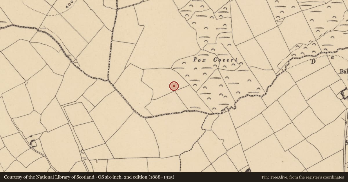 Ordnance Survey six-inch map, 2nd edition (1888–1915) covering the location of Ringfort - rath, Ballyvadd, County Waterford, with a pin at the register's coordinates