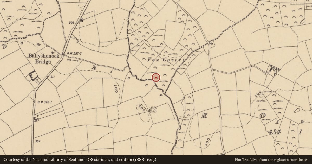 Ordnance Survey six-inch map, 2nd edition (1888–1915) covering the location of Burnt mound, County Waterford, with a pin at the register's coordinates