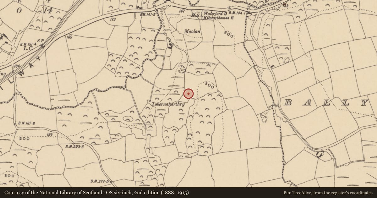 Ordnance Survey six-inch map, 2nd edition (1888–1915) covering the location of Megalithic structure, Carrickanure, County Waterford, with a pin at the register's coordinates