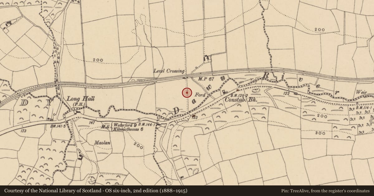 Ordnance Survey six-inch map, 2nd edition (1888–1915) covering the location of Bullaun stone, Kilmoyemoge East, County Waterford, with a pin at the register's coordinates