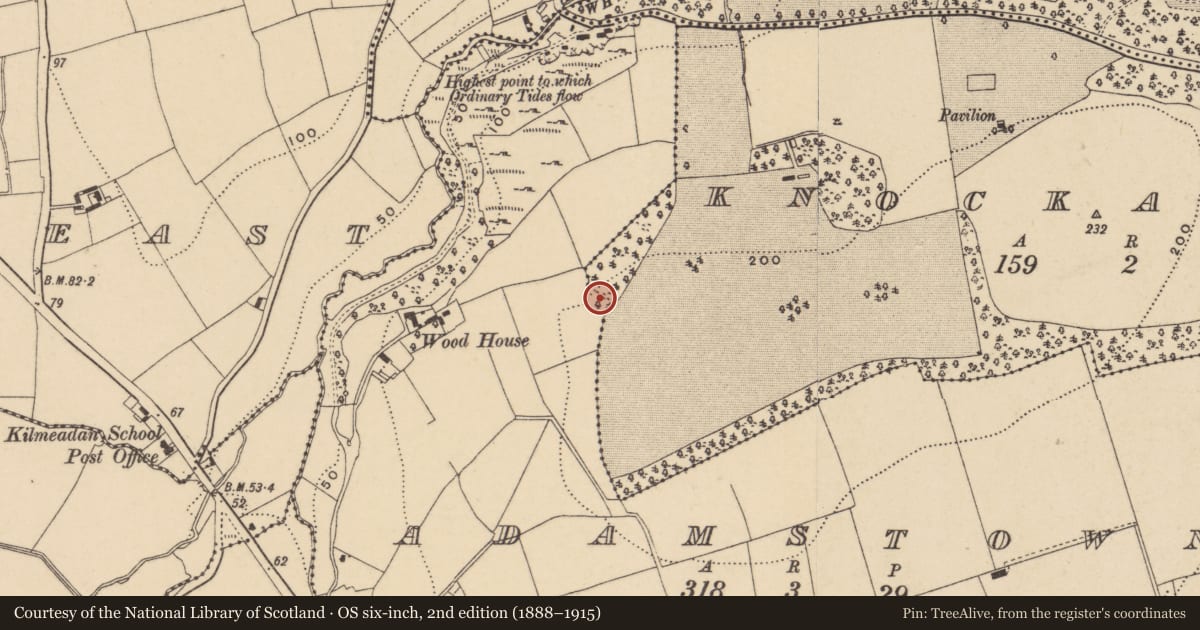 Ordnance Survey six-inch map, 2nd edition (1888–1915) covering the location of Designed landscape - tree-ring, County Waterford, with a pin at the register's coordinates