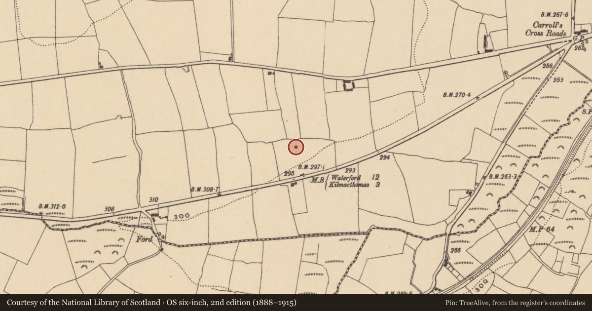 Ordnance Survey six-inch map, 2nd edition (1888–1915) covering the location of Burnt mound, Ballyshonock, County Waterford, with a pin at the register's coordinates