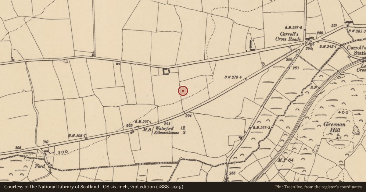 Ordnance Survey six-inch map, 2nd edition (1888–1915) covering the location of Burnt mound, Ballyshonock, County Waterford, with a pin at the register's coordinates