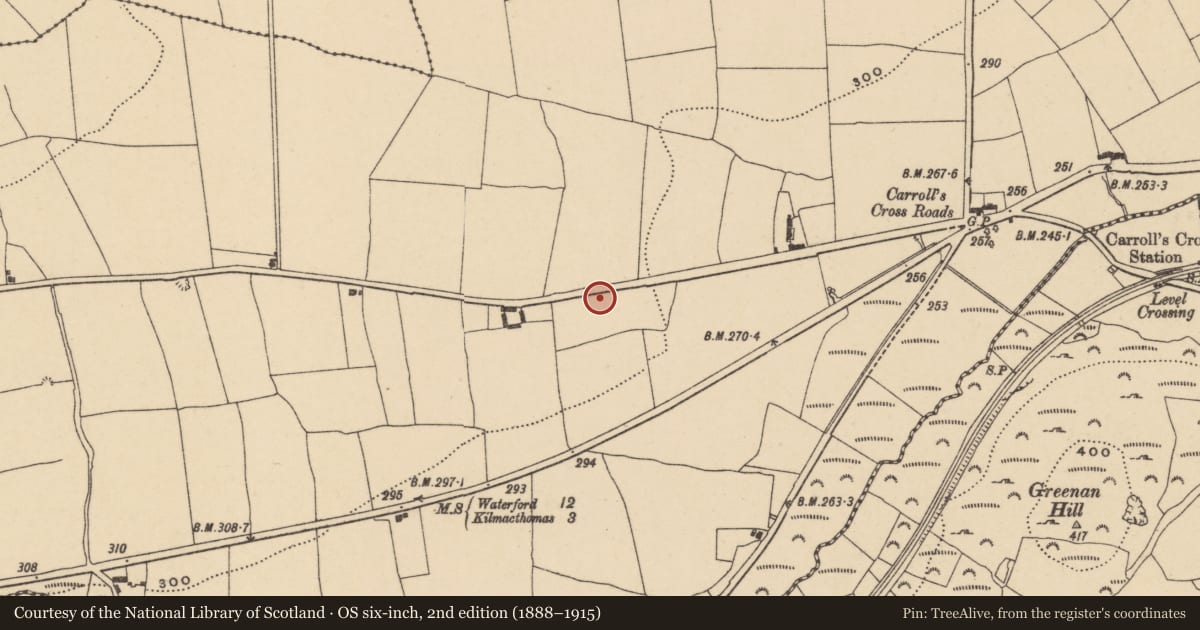 Ordnance Survey six-inch map, 2nd edition (1888–1915) covering the location of Burnt mound, Ballyshonock, County Waterford, with a pin at the register's coordinates