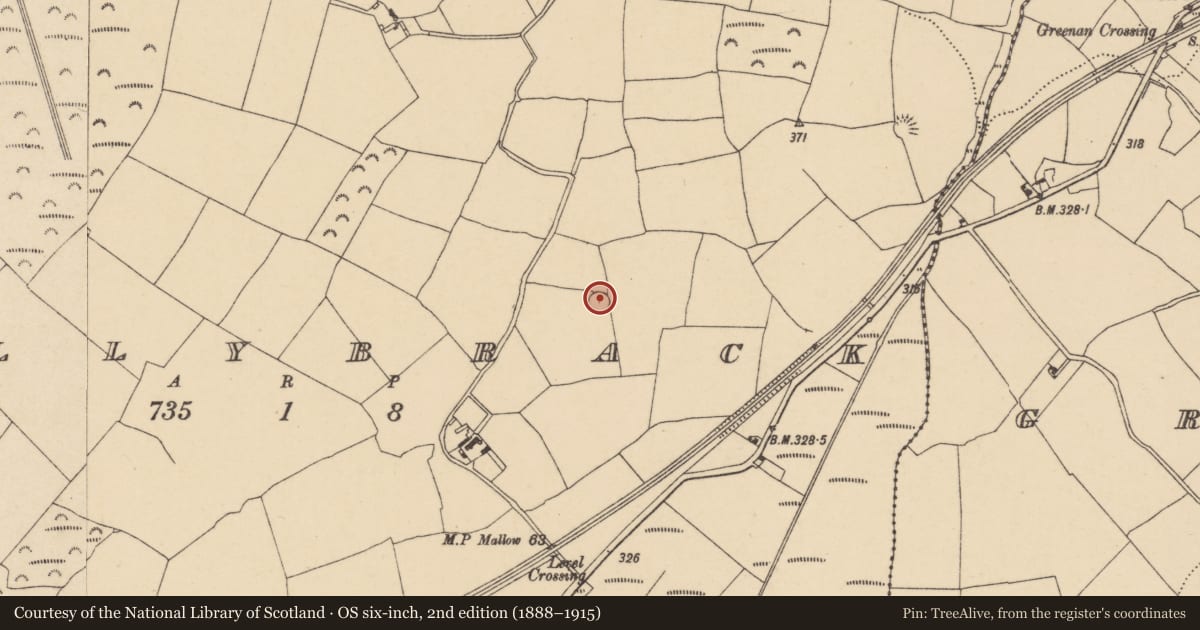 Ordnance Survey six-inch map, 2nd edition (1888–1915) covering the location of Ringfort - rath, Ballybrack, County Waterford, with a pin at the register's coordinates