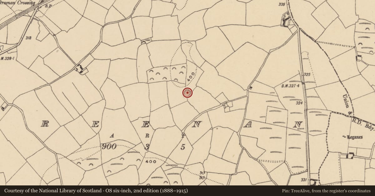 Ordnance Survey six-inch map, 2nd edition (1888–1915) covering the location of Ringfort - rath, Greenan, County Waterford, with a pin at the register's coordinates