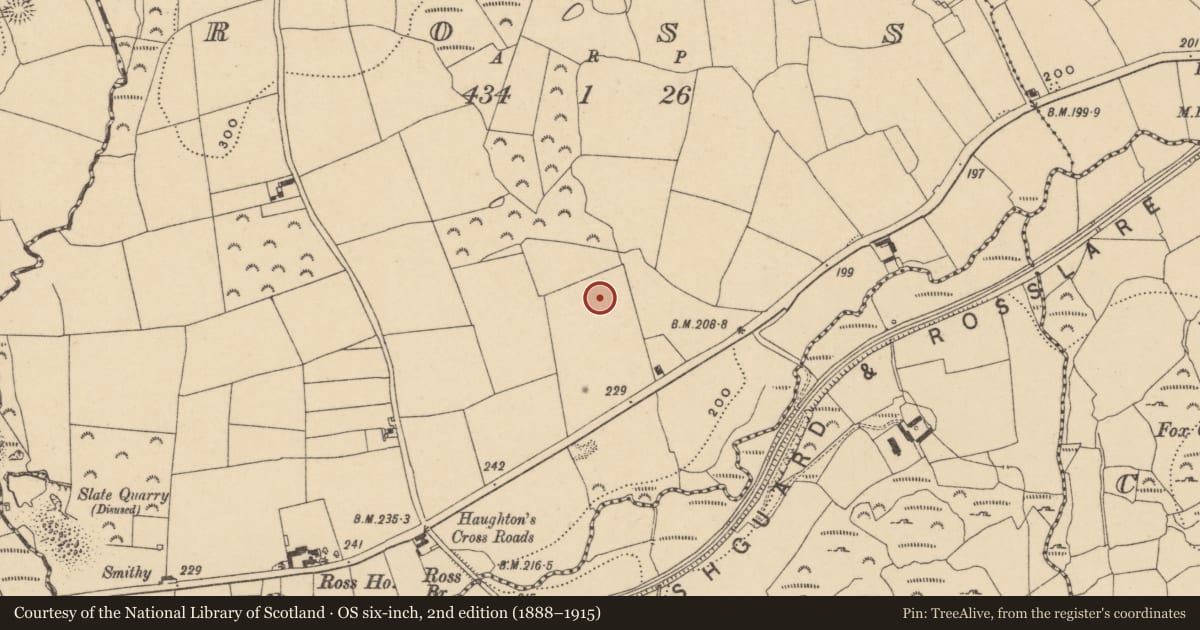 Ordnance Survey six-inch map, 2nd edition (1888–1915) covering the location of Castle - unclassified, Ross, County Waterford, with a pin at the register's coordinates