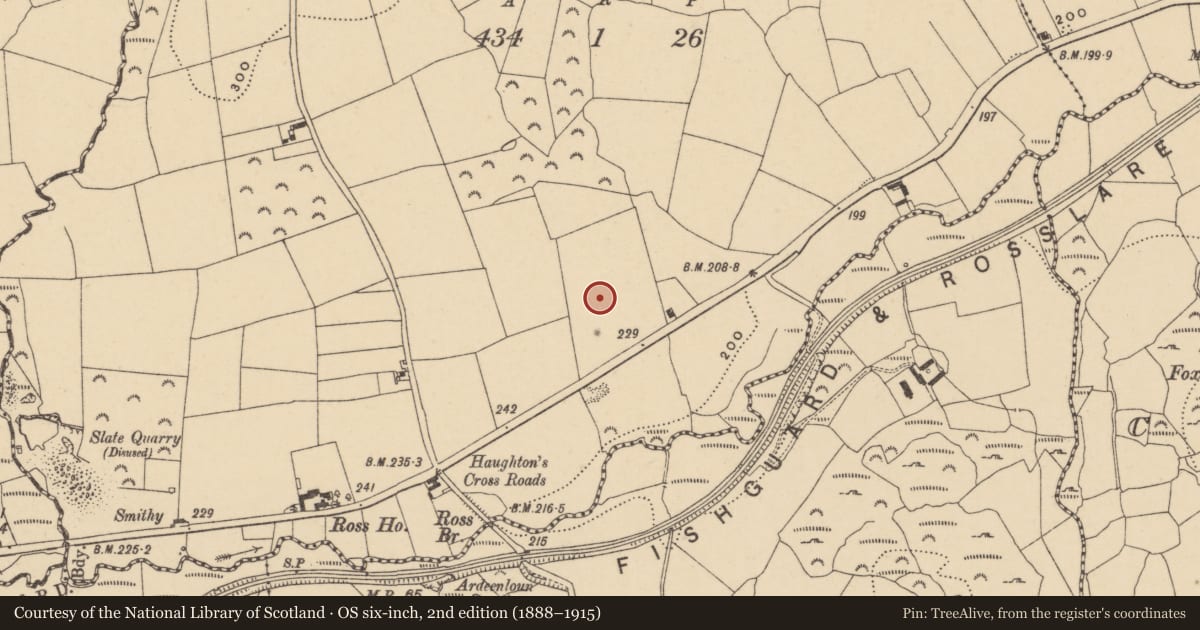 Ordnance Survey six-inch map, 2nd edition (1888–1915) covering the location of Standing stone, Ross, County Waterford, with a pin at the register's coordinates