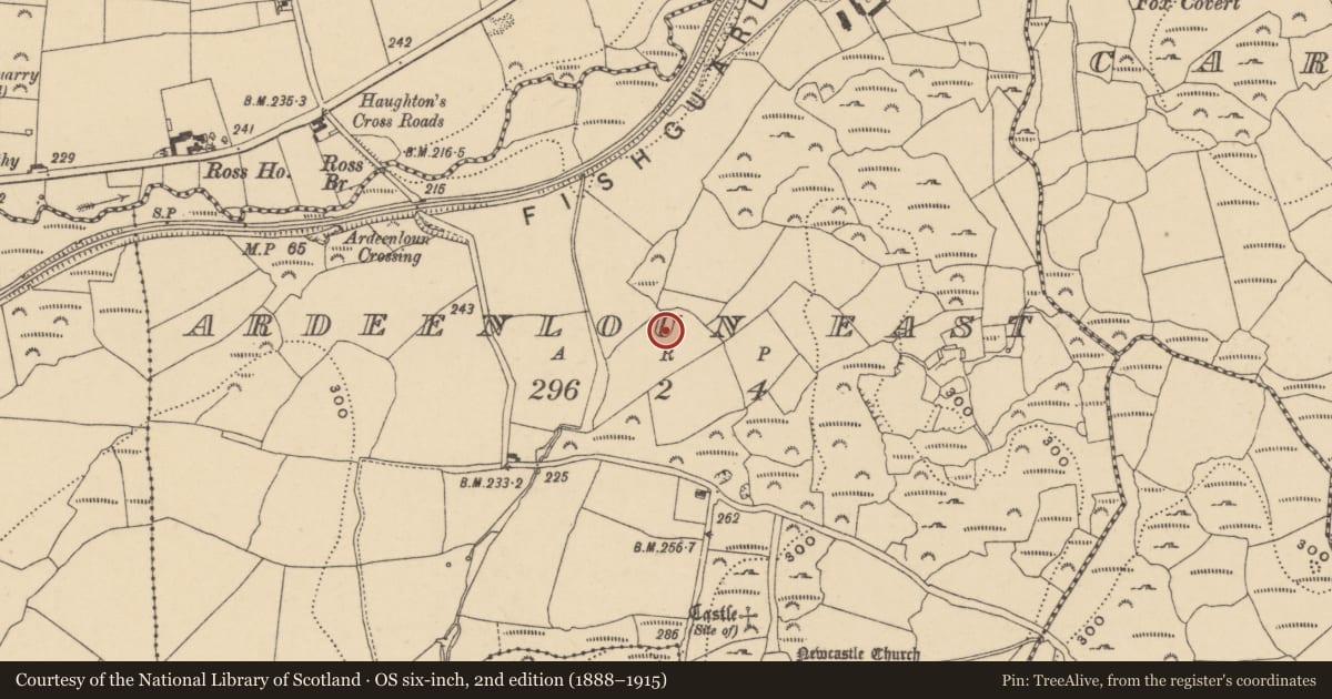 Ordnance Survey six-inch map, 2nd edition (1888–1915) covering the location of Ringfort - unclassified, Ardeenloun East, County Waterford, with a pin at the register's coordinates