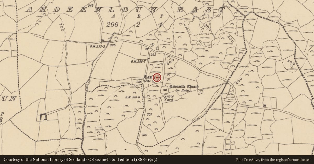 Ordnance Survey six-inch map, 2nd edition (1888–1915) covering the location of Castle - unclassified, Ardeenloun East, County Waterford, with a pin at the register's coordinates