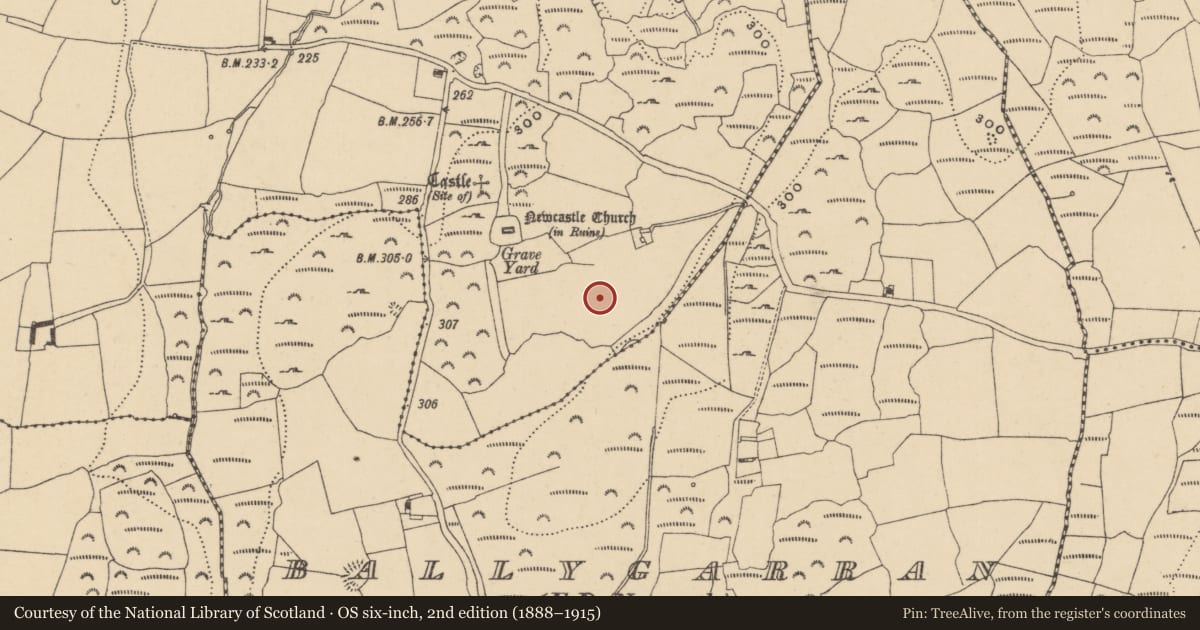 Ordnance Survey six-inch map, 2nd edition (1888–1915) covering the location of Field boundary, Ardeenloun East, County Waterford, with a pin at the register's coordinates