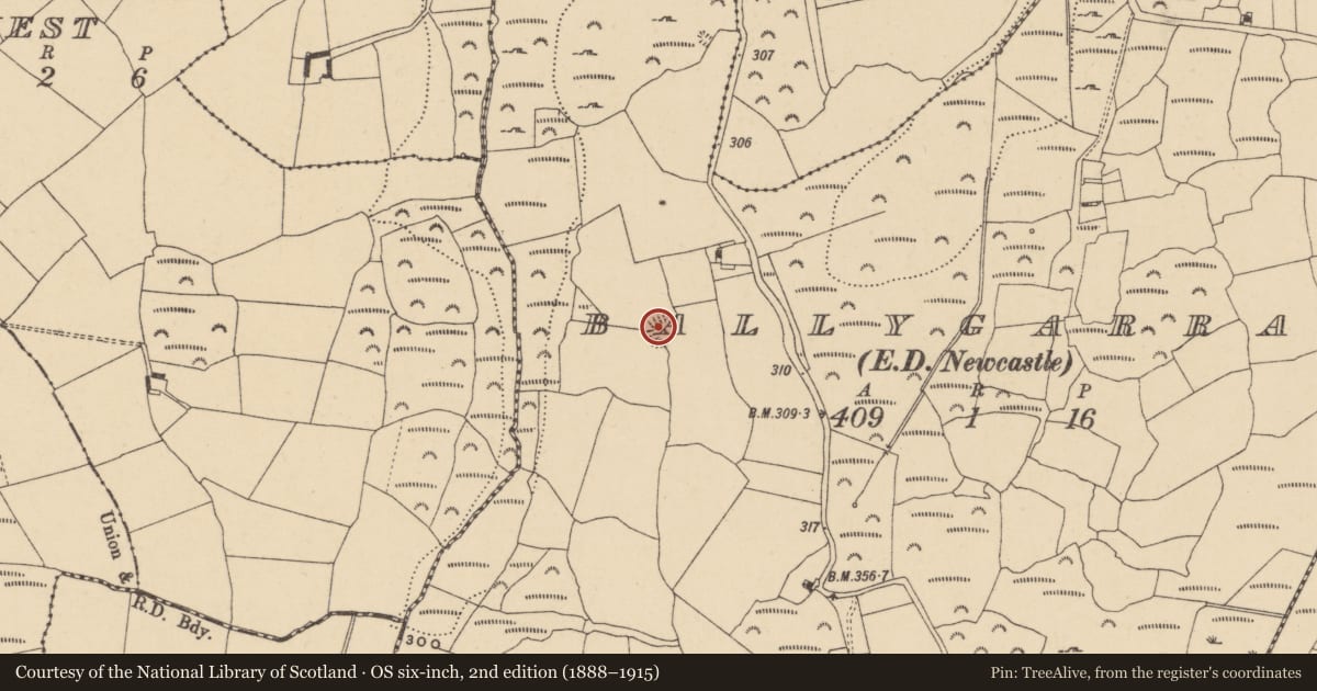 Ordnance Survey six-inch map, 2nd edition (1888–1915) covering the location of Ringfort - rath, Ballygarran (Middlethird By., Newcastle Par.), County Waterford, with a pin at the register's coordinates