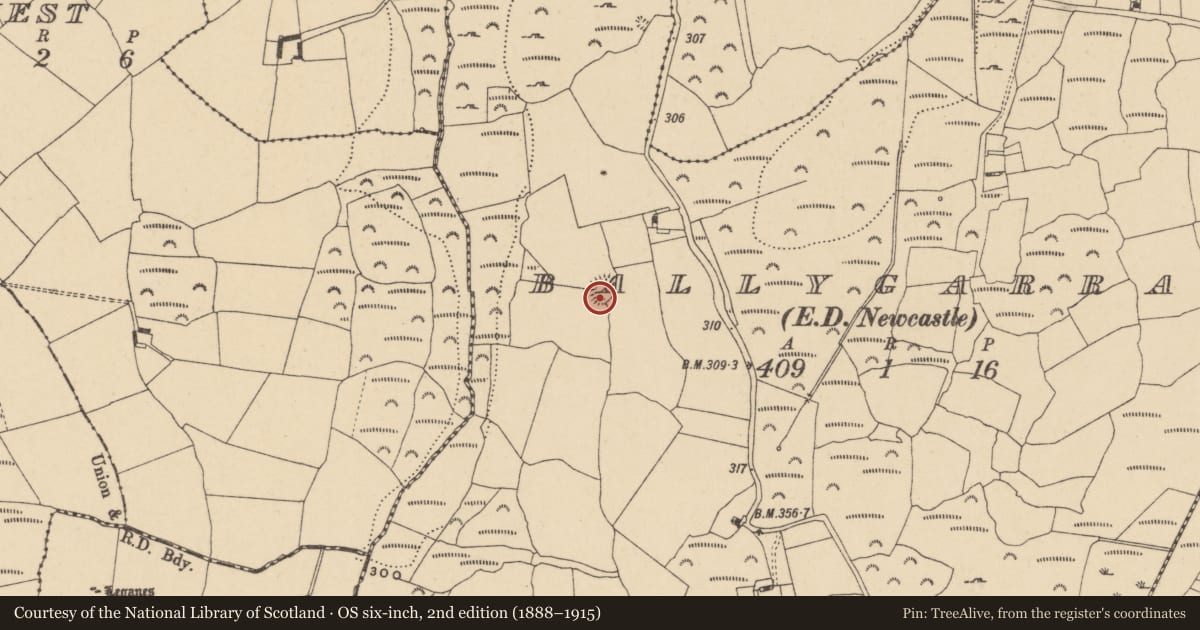 Ordnance Survey six-inch map, 2nd edition (1888–1915) covering the location of Souterrain, Ballygarran (Middlethird By., Newcastle Par.), County Waterford, with a pin at the register's coordinates