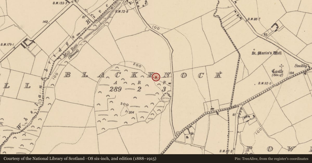 Ordnance Survey six-inch map, 2nd edition (1888–1915) covering the location of Ringfort - unclassified, Blackknock, County Waterford, with a pin at the register's coordinates