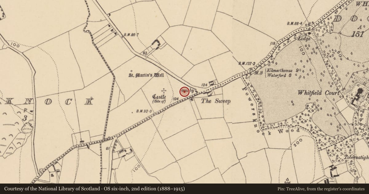 Ordnance Survey six-inch map, 2nd edition (1888–1915) covering the location of Church, Adamstown (Middlethird By., Kilmeadan Par.), County Waterford, with a pin at the register's coordinates