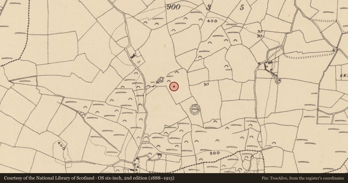Ordnance Survey six-inch map, 2nd edition (1888–1915) covering the location of Souterrain, Greenan, County Waterford, with a pin at the register's coordinates
