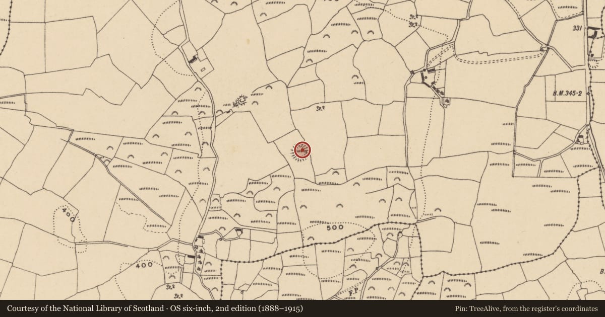 Ordnance Survey six-inch map, 2nd edition (1888–1915) covering the location of Ringfort - rath, Greenan, County Waterford, with a pin at the register's coordinates
