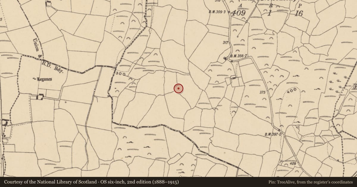Ordnance Survey six-inch map, 2nd edition (1888–1915) covering the location of Ringfort - rath, Ballygarran (Middlethird By., Newcastle Par.), County Waterford, with a pin at the register's coordinates