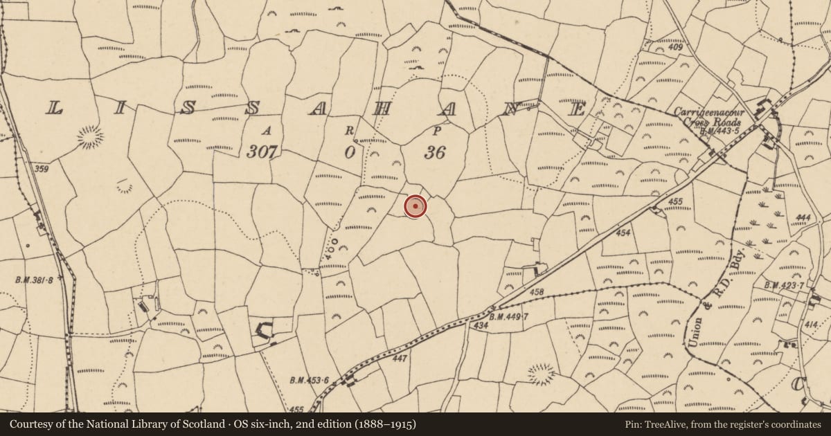 Ordnance Survey six-inch map, 2nd edition (1888–1915) covering the location of Ringfort - rath, Lissahane, County Waterford, with a pin at the register's coordinates