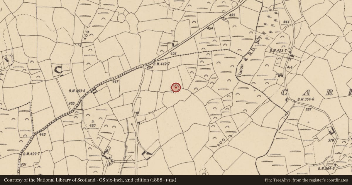 Ordnance Survey six-inch map, 2nd edition (1888–1915) covering the location of Ringfort - rath, Caheruane, County Waterford, with a pin at the register's coordinates