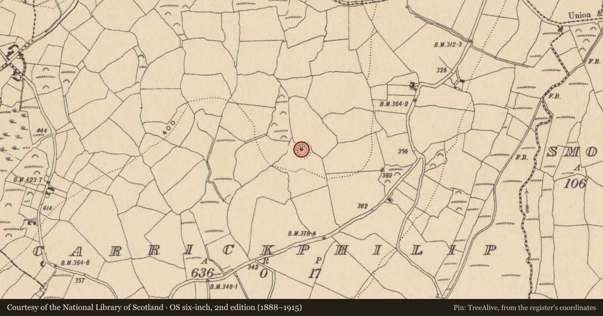 Ordnance Survey six-inch map, 2nd edition (1888–1915) covering the location of Ringfort - rath, Carrickphilip, County Waterford, with a pin at the register's coordinates