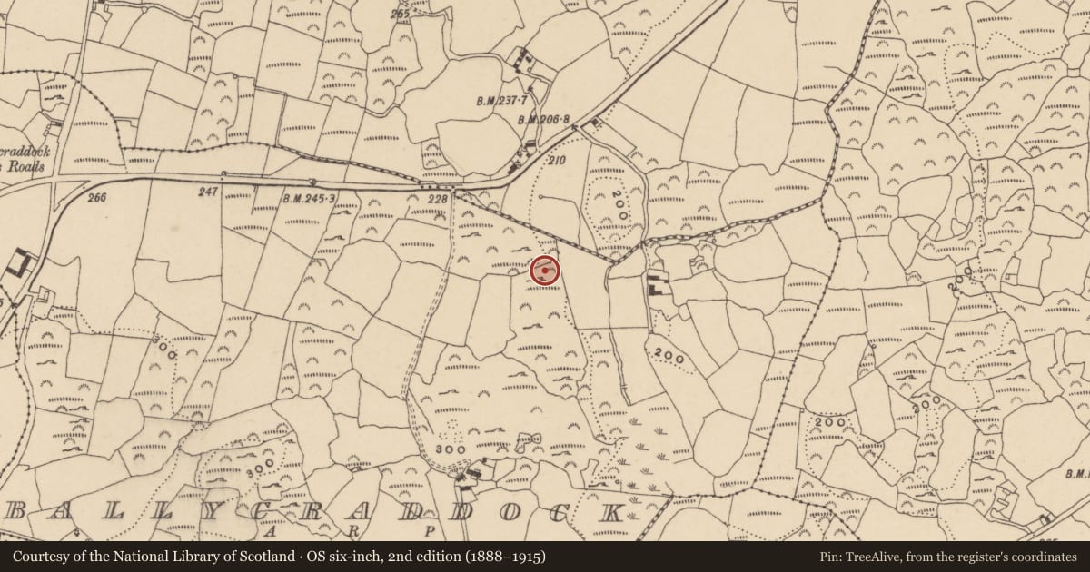 Ordnance Survey six-inch map, 2nd edition (1888–1915) covering the location of Enclosure, Ballycraddock, County Waterford, with a pin at the register's coordinates