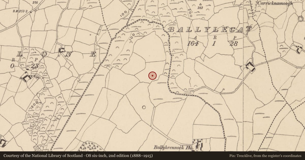 Ordnance Survey six-inch map, 2nd edition (1888–1915) covering the location of Ringfort - unclassified, Ballybrennock, County Waterford, with a pin at the register's coordinates