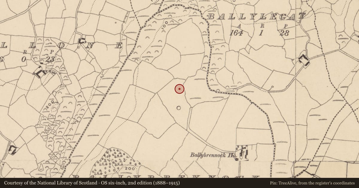 Ordnance Survey six-inch map, 2nd edition (1888–1915) covering the location of Ringfort - unclassified, Ballybrennock, County Waterford, with a pin at the register's coordinates