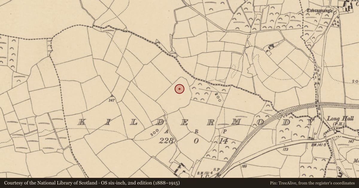 Ordnance Survey six-inch map, 2nd edition (1888–1915) covering the location of Ecclesiastical enclosure, Kildermody, County Waterford, with a pin at the register's coordinates