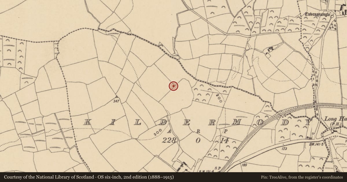 Ordnance Survey six-inch map, 2nd edition (1888–1915) covering the location of Bullaun stone, Kildermody, County Waterford, with a pin at the register's coordinates