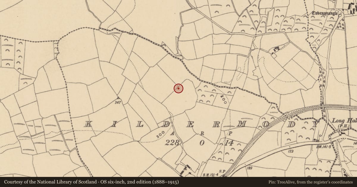 Ordnance Survey six-inch map, 2nd edition (1888–1915) covering the location of Bullaun stone, Kildermody, County Waterford, with a pin at the register's coordinates