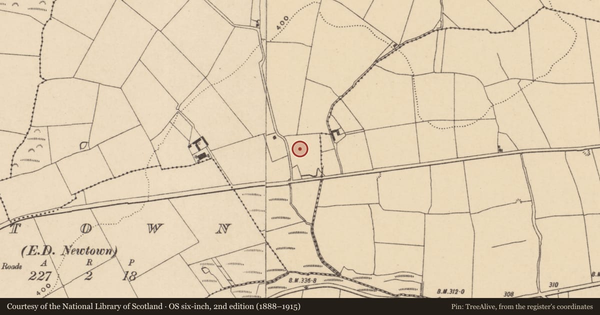 Ordnance Survey six-inch map, 2nd edition (1888–1915) covering the location of Standing stone, Ballyhussa, County Waterford, with a pin at the register's coordinates