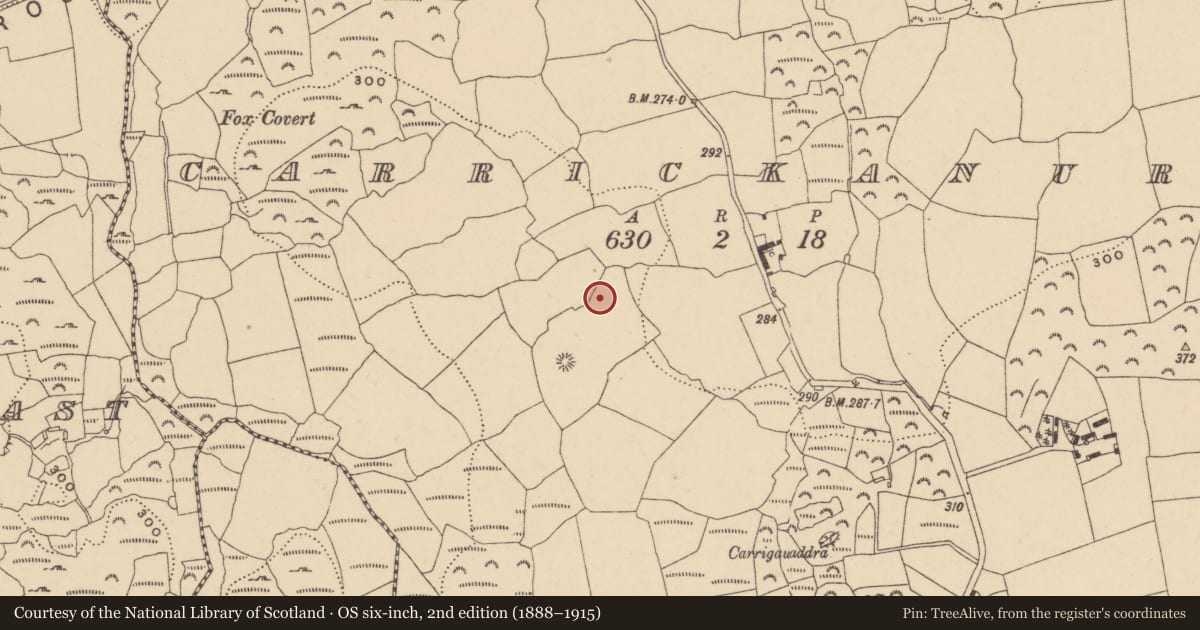Ordnance Survey six-inch map, 2nd edition (1888–1915) covering the location of Standing stone, Carrickanure, County Waterford, with a pin at the register's coordinates