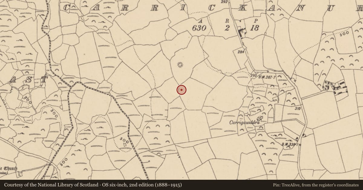 Ordnance Survey six-inch map, 2nd edition (1888–1915) covering the location of Standing stone, Carrickanure, County Waterford, with a pin at the register's coordinates