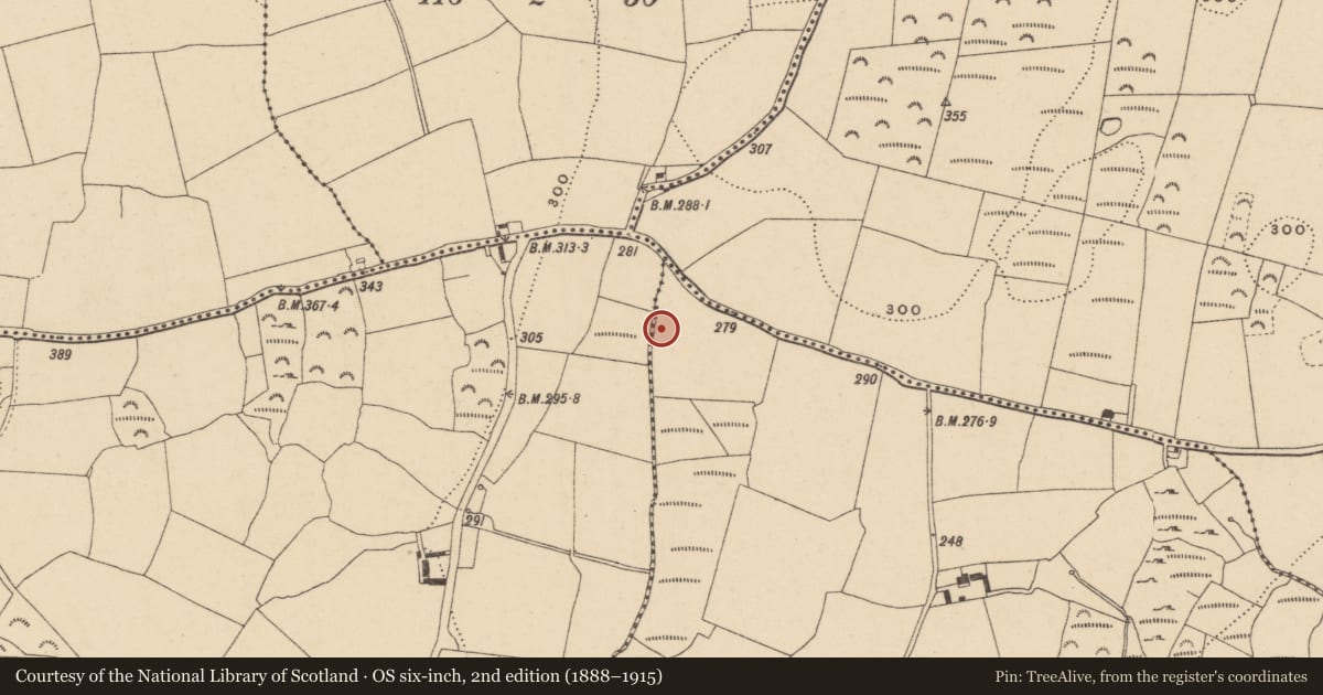 Ordnance Survey six-inch map, 2nd edition (1888–1915) covering the location of Burnt mound, Johnstown, County Waterford, with a pin at the register's coordinates