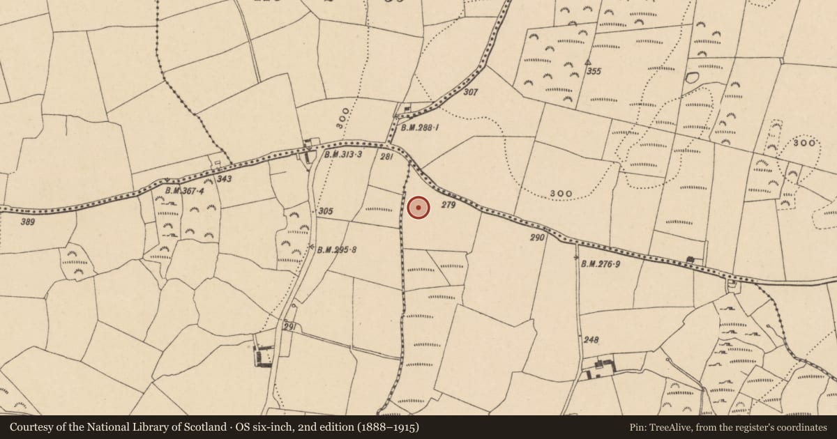 Ordnance Survey six-inch map, 2nd edition (1888–1915) covering the location of Burnt mound, Johnstown, County Waterford, with a pin at the register's coordinates