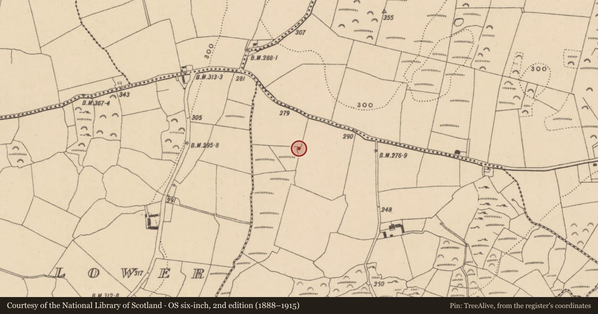 Ordnance Survey six-inch map, 2nd edition (1888–1915) covering the location of Burnt mound, Johnstown, County Waterford, with a pin at the register's coordinates