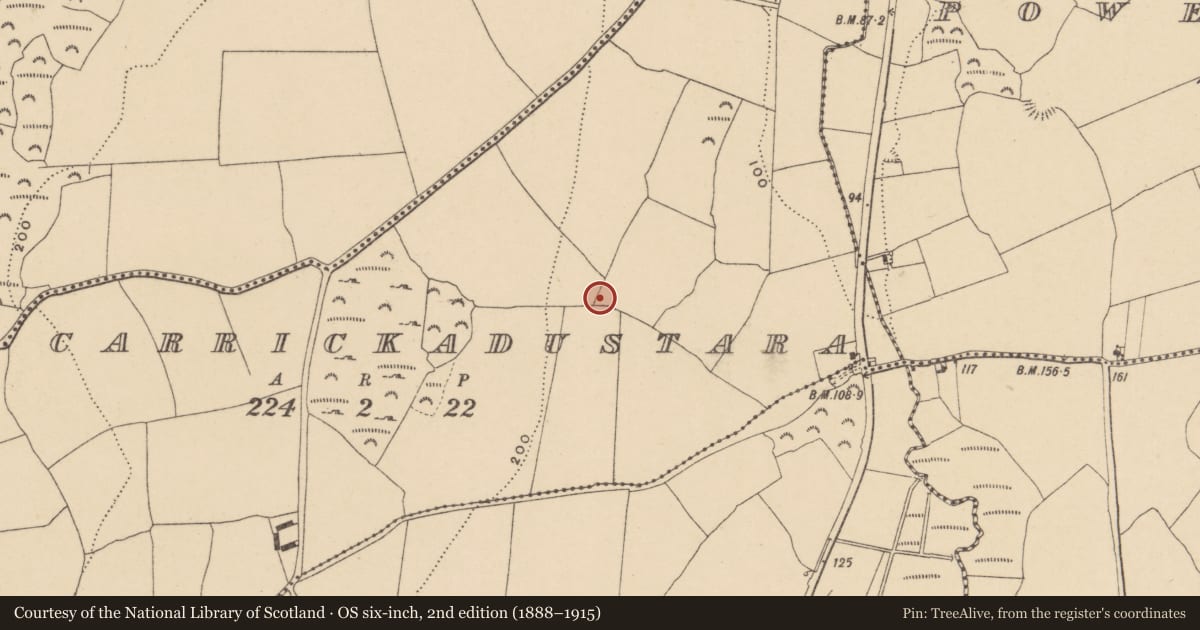 Ordnance Survey six-inch map, 2nd edition (1888–1915) covering the location of Souterrain, Carrickadustara, County Waterford, with a pin at the register's coordinates