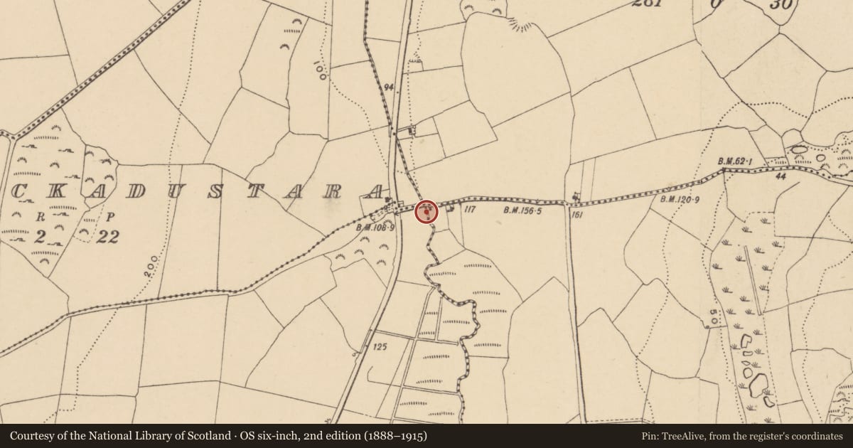 Ordnance Survey six-inch map, 2nd edition (1888–1915) covering the location of Burnt mound, Loughdeheen, County Waterford, with a pin at the register's coordinates