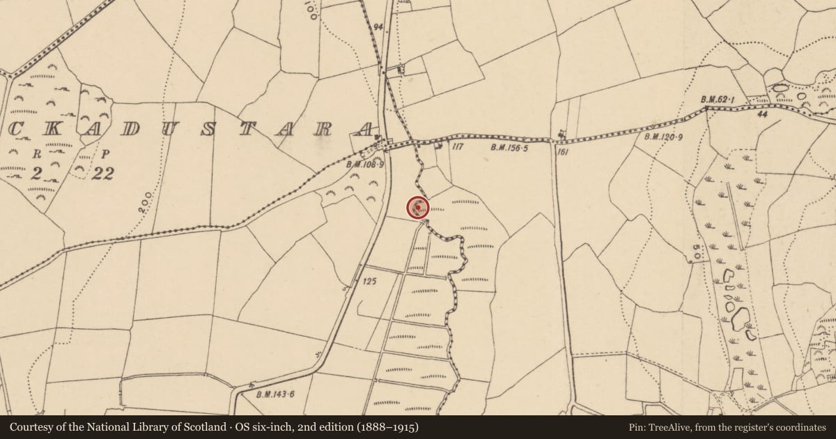 Ordnance Survey six-inch map, 2nd edition (1888–1915) covering the location of Burnt mound, Loughdeheen, County Waterford, with a pin at the register's coordinates