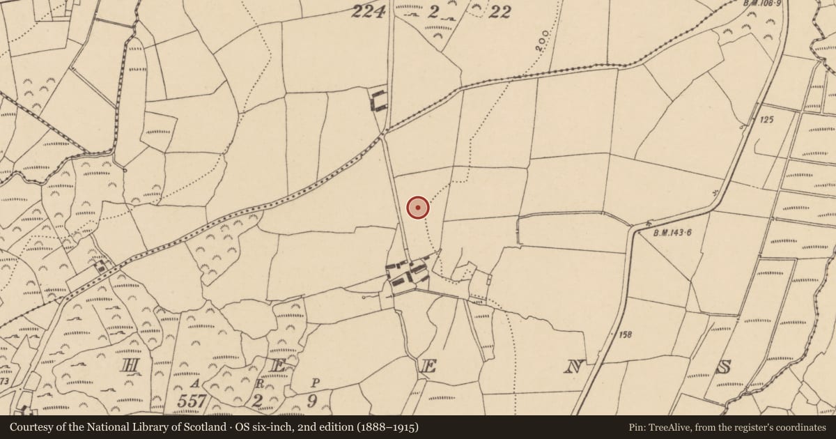 Ordnance Survey six-inch map, 2nd edition (1888–1915) covering the location of Standing stone, Raheens, County Waterford, with a pin at the register's coordinates