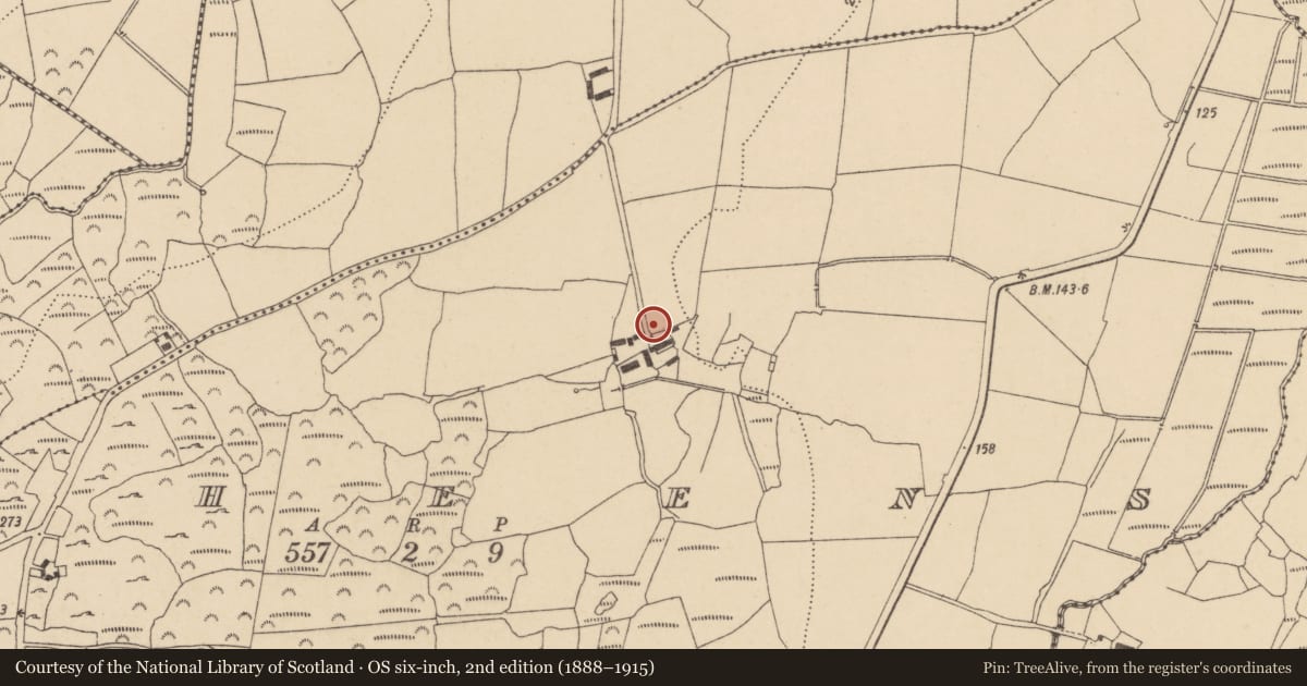 Ordnance Survey six-inch map, 2nd edition (1888–1915) covering the location of Standing stone, Raheens, County Waterford, with a pin at the register's coordinates