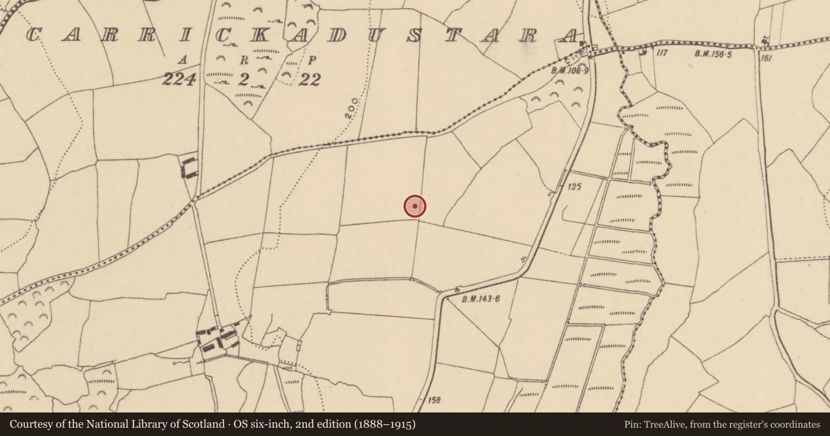 Ordnance Survey six-inch map, 2nd edition (1888–1915) covering the location of Souterrain, Raheens, County Waterford, with a pin at the register's coordinates