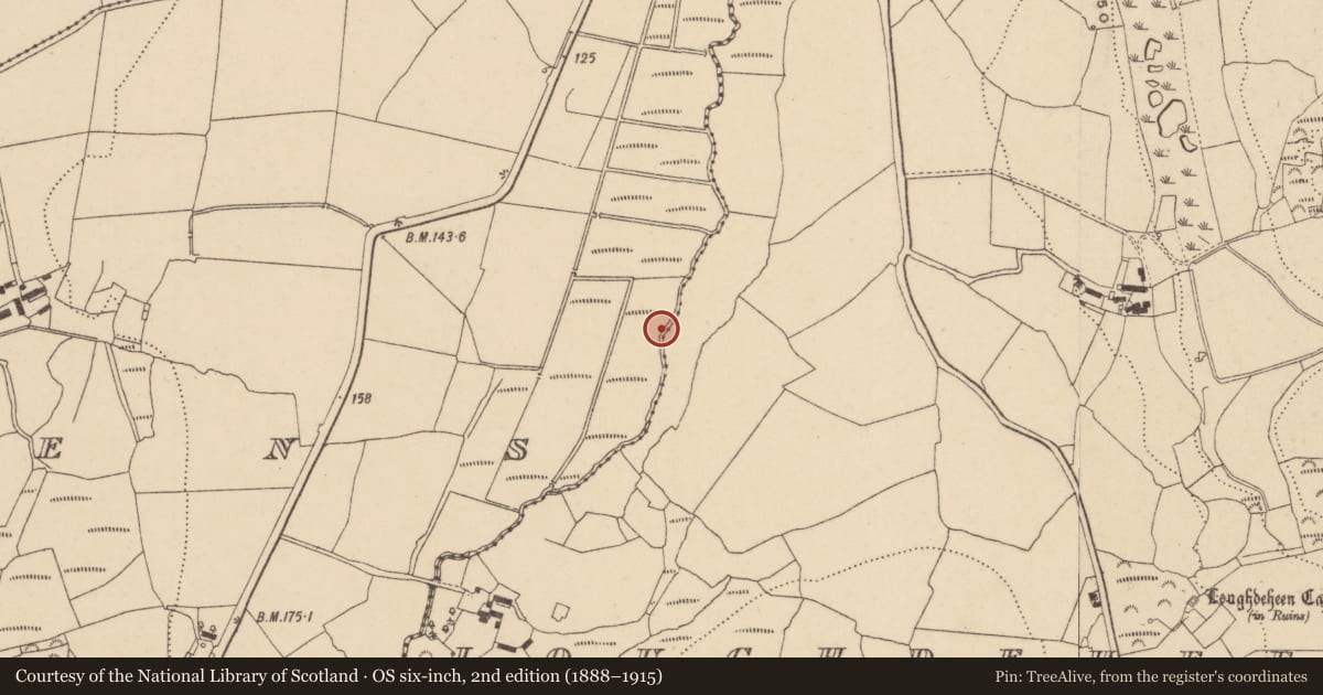 Ordnance Survey six-inch map, 2nd edition (1888–1915) covering the location of Burnt mound, Loughdeheen, County Waterford, with a pin at the register's coordinates