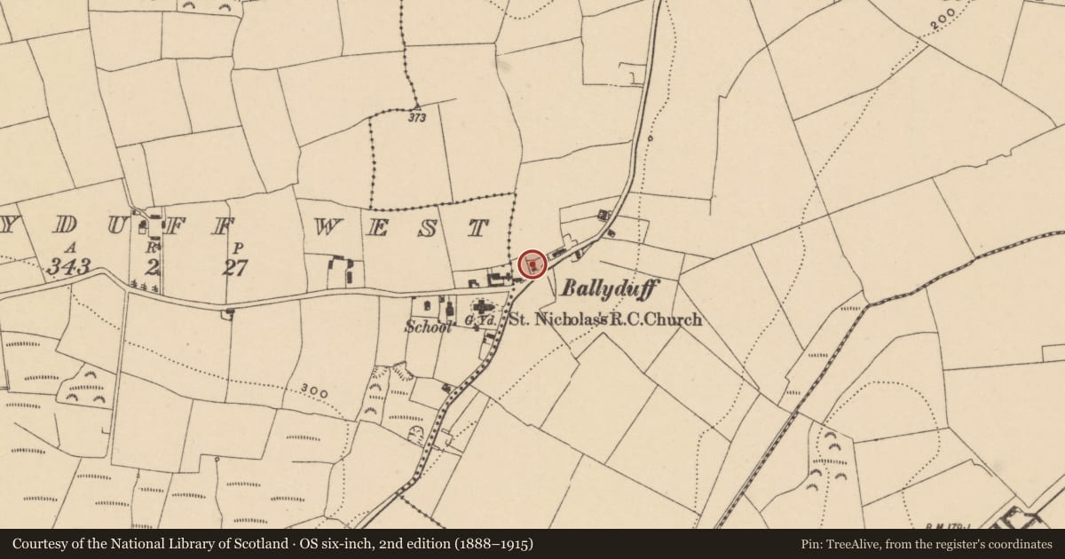 Ordnance Survey six-inch map, 2nd edition (1888–1915) covering the location of Bullaun stone, Ballyduff East, County Waterford, with a pin at the register's coordinates