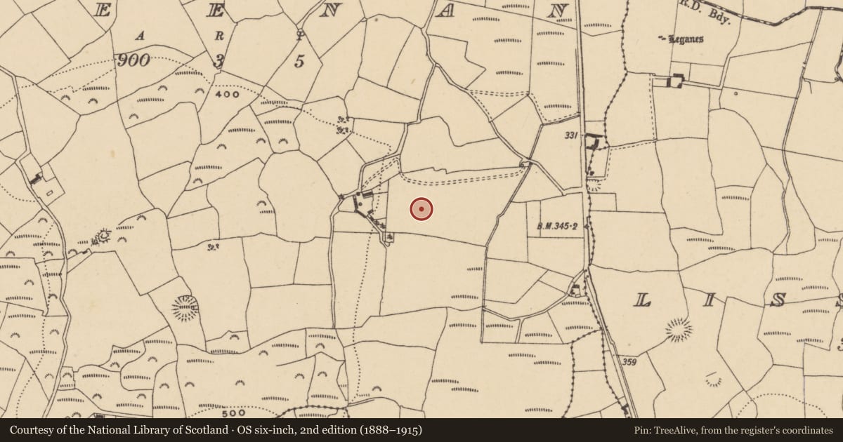Ordnance Survey six-inch map, 2nd edition (1888–1915) covering the location of Standing stone, Greenan, County Waterford, with a pin at the register's coordinates