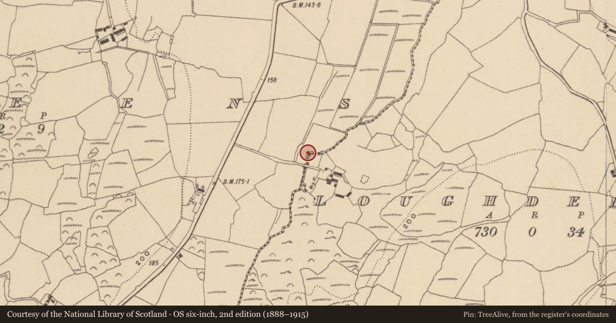 Ordnance Survey six-inch map, 2nd edition (1888–1915) covering the location of Fulacht fia, Raheens, County Waterford, with a pin at the register's coordinates