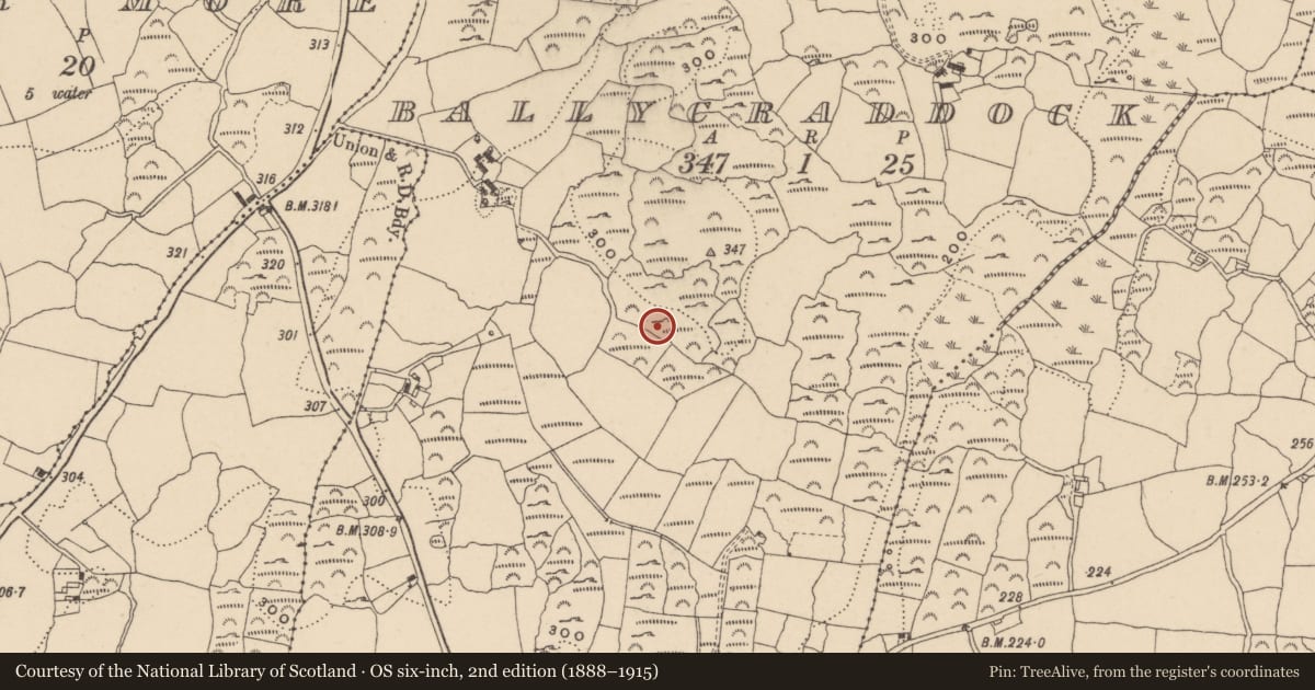 Ordnance Survey six-inch map, 2nd edition (1888–1915) covering the location of Standing stone, Ballycraddock, County Waterford, with a pin at the register's coordinates