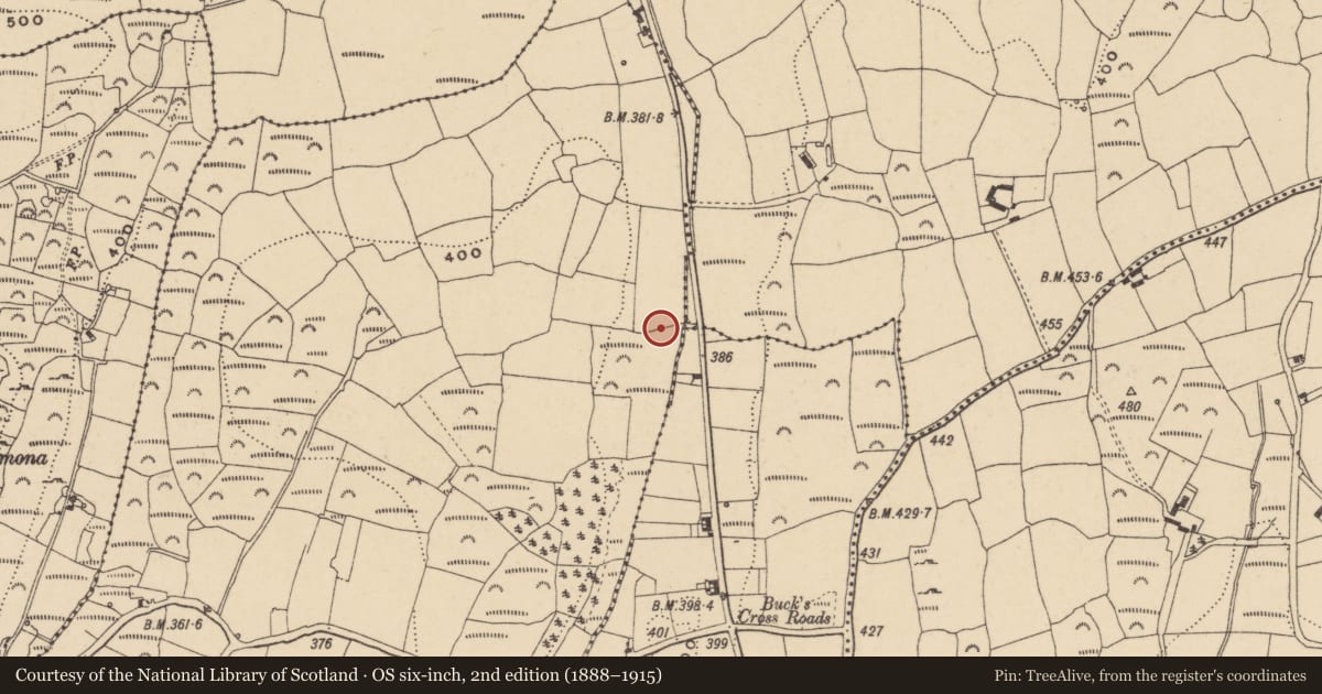 Ordnance Survey six-inch map, 2nd edition (1888–1915) covering the location of Standing stone, Rathanny, County Waterford, with a pin at the register's coordinates